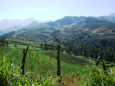 Agriculture in Cordillera Central